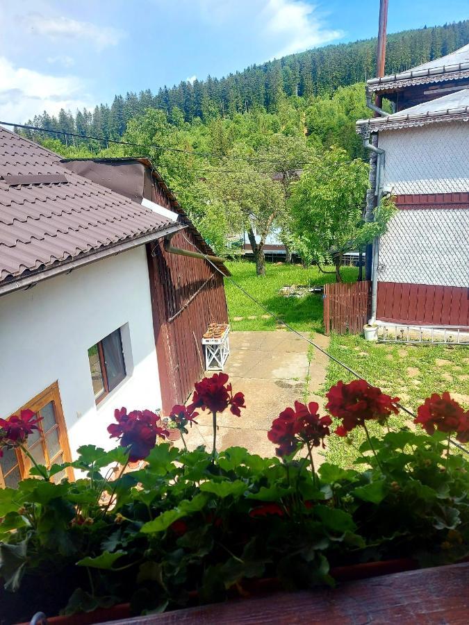 Pensiunea Boca Voroneț Extérieur photo
