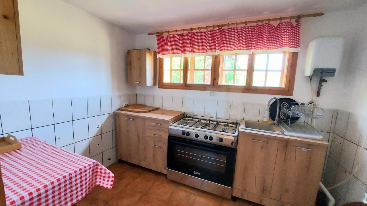Pensiunea Boca Voroneț Extérieur photo