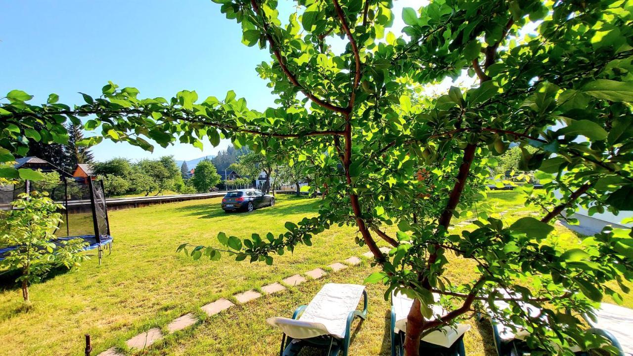 Pensiunea Boca Voroneț Extérieur photo